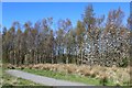 Access path to Devon Way near Devon Village