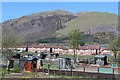 Tillicoultry Allotments