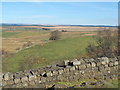 Rough pastures north of Hadrian