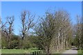 Devon Way near Tillicoultry