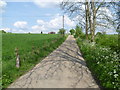 Oaks Track leading to the Little Woodcote Estate