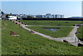 Benches and a triangular pond, The Knap, Barry