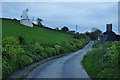 Instow : Country Lane