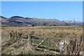 Rashy ground south of Easter Sheardale