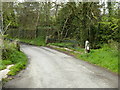 Bridge over the stream at Tregonwell