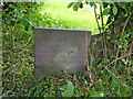 SK6733 : Belvoir Angel, St Margaret's church yard, Owthorpe by Alan Murray-Rust