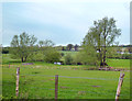 Meadows beside the River Lea