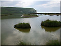 TV5197 : Saline lagoon at Cuckmere Haven by Andrew Diack