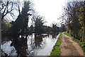 Grand Union Canal and Walk