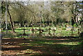 Churchyard, Church of St Mary and St John