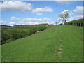 Footpath above Deep Dale