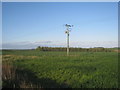 Electricity pole and Fordham Plantation