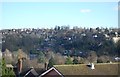 Guildford Roofscape