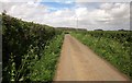 Portway Lane north of Dyche