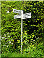 TM3892 : Roadsign on Yarmouth Road by Geographer