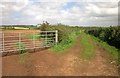 ST1840 : Field access track near Nether Stowey by Derek Harper