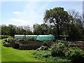 Allotments at Henmoor, Clay Cross