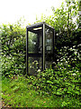 TM4294 : Telephone Box on Burnthouse Lane by Geographer