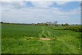 Footpath to Mansion House Farm