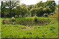 Pond near Bay Ruffets Wood