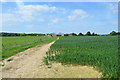 Track to Tiffenden Manor Farm