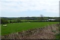 Fields near Duke