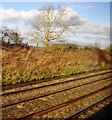 Great Western Main Line in a cutting