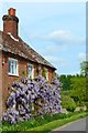 Wisteria-covered cottage