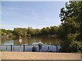 Highfields Road Pool