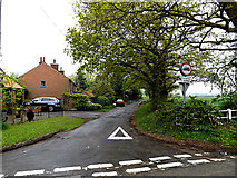 TM4693 : Lily Lane, Burgh St.Peter by Geographer