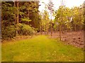 Track & Boundary fence for Fort Belvedere, Belvedere Wood, Virginia Water