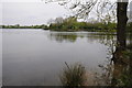 Lake at Cotswold Water Park