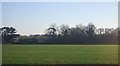 Farmland near Slaney Place