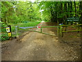 Long straight track on Weston Common