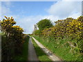 The track leading to Advent Church