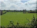 SX4485 : Fields on the Coombe Trenchard estate by Rod Allday