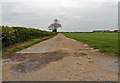 SE8501 : Track near Middle Moor Farm by J.Hannan-Briggs