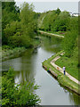 The canal at Spring Vale, Wolverhampton