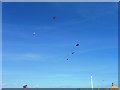 Weymouth kite festival