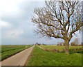 South Drove, Helpringham Fen