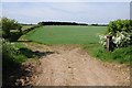 SP0902 : Arable land, Ampney St Mary by Philip Halling