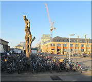 TL4657 : Cambridge Railway Station: cycles and pollarded trees by John Sutton