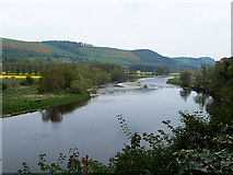 NT5434 : River Tweed at Melrose by Oliver Dixon