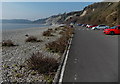 A pebble beach, Barry