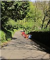 Road works, Buckland in The Moor