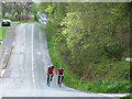 Cyclists on the old A6091 at Eildon village