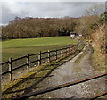 Track NW from  Blaennantygroes Road, Cwmbach