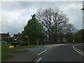 Bus stop and shelter, Duncton