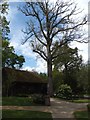 Visitor Centre at Petworth House car-park