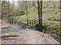 Footbridge on Glyndwr